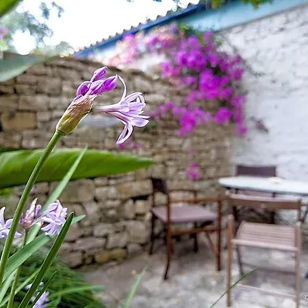 Ξενοδοχείο Adamantia Traditional Village Paxos